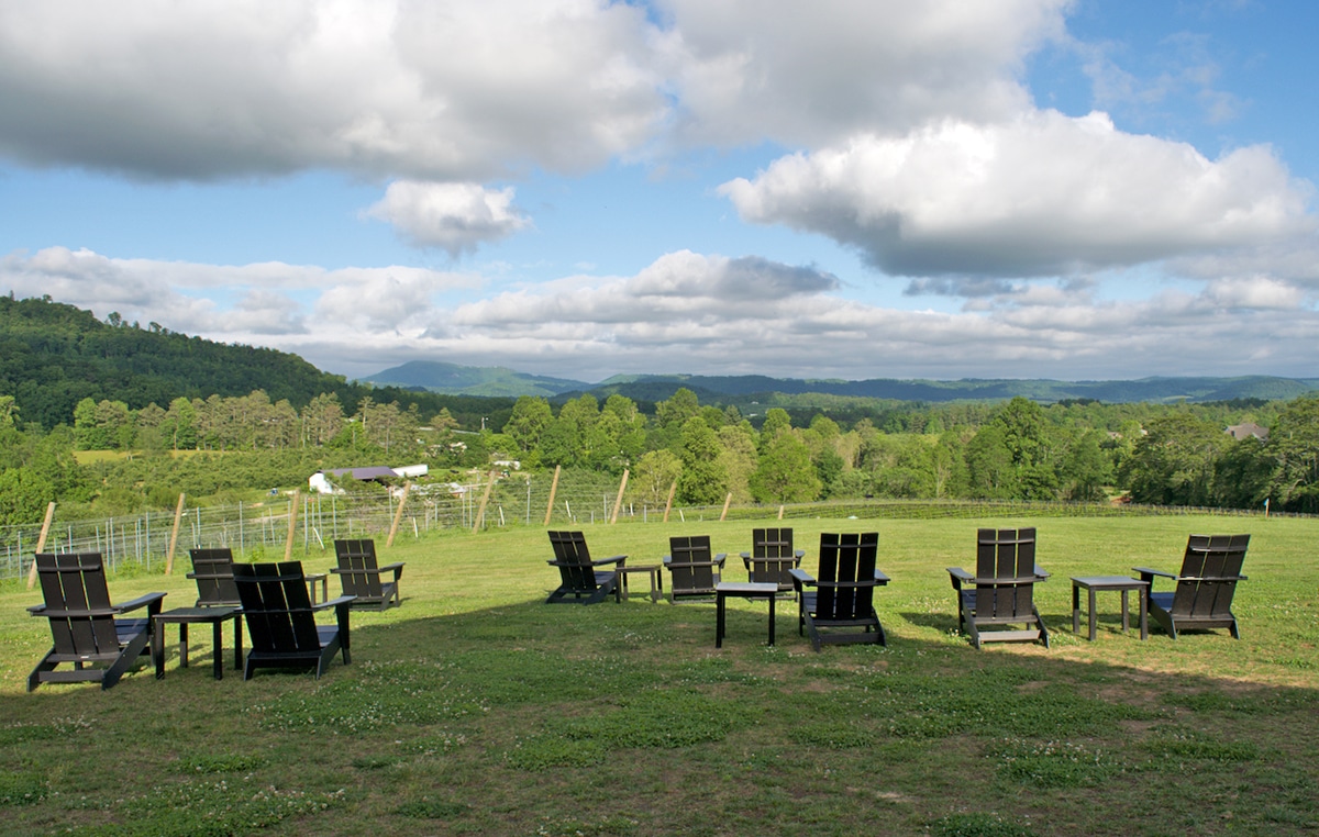 Stone Ashe View - Crest of the Blue Ridge Wine Trail