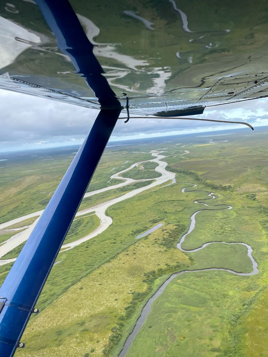Alaskan tundra from the float plane.