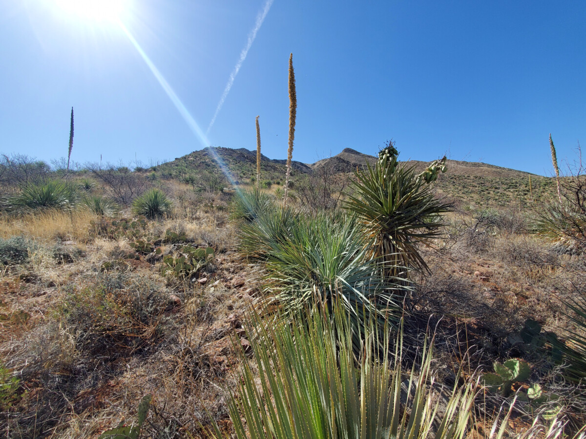 Franklin Mountains State Park has 125 miles of hiking trails. Photo by Teresa Bitler