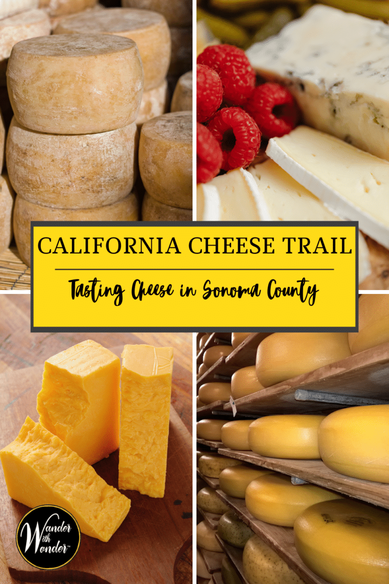 Head to Sonoma County and explore the California Cheese Trail. You can spend a weekend tasting cheese and visiting with some of the local farmers. Here are our top choices for exploring the California Cheese Trail. 