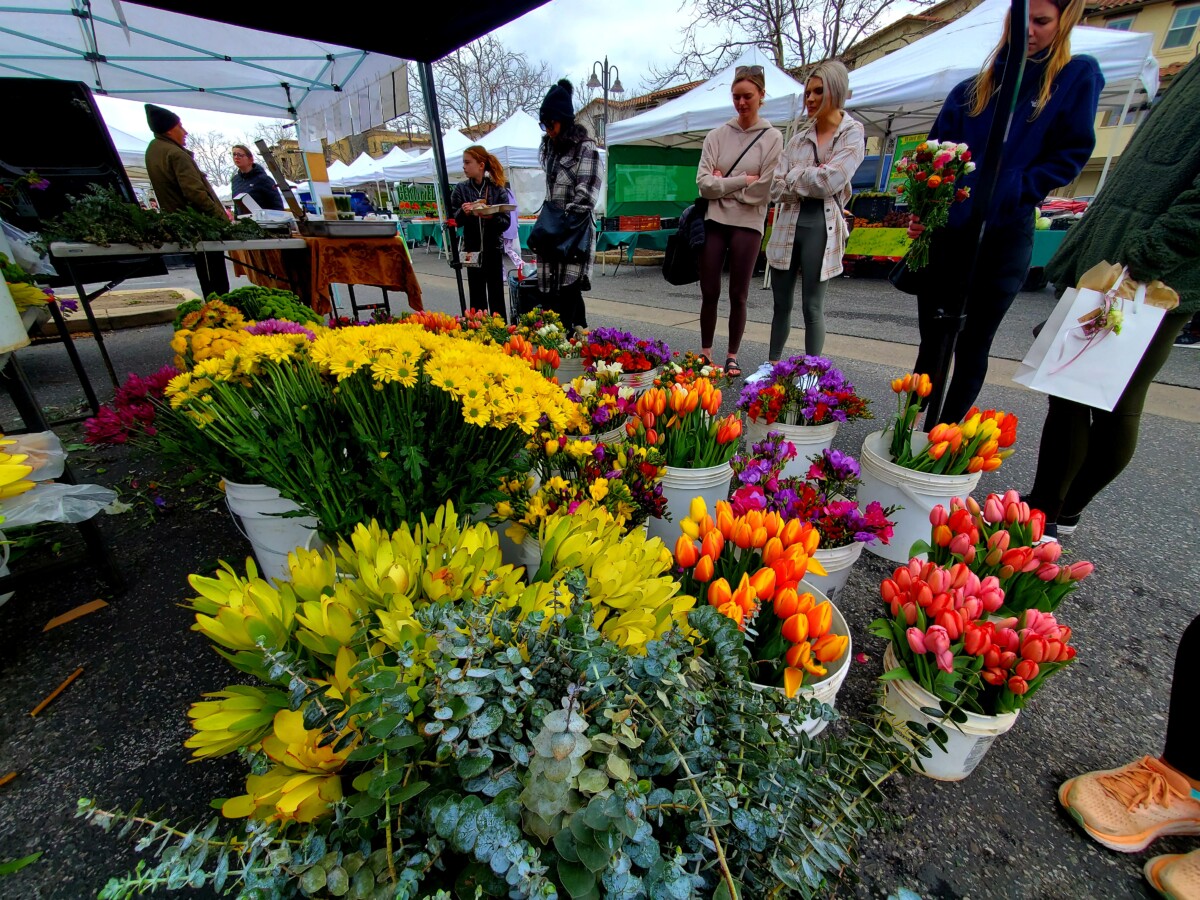 The Morgan Hill Farmers Market sells fresh flowers in addition to local produce. Photo by Teresa Bitler