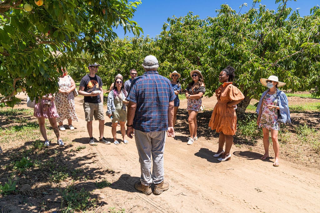 Andy's Orchard hosts special events and orchard tours. Check the orchard's website before you go. Photo courtesy of Visit Morgan Hill