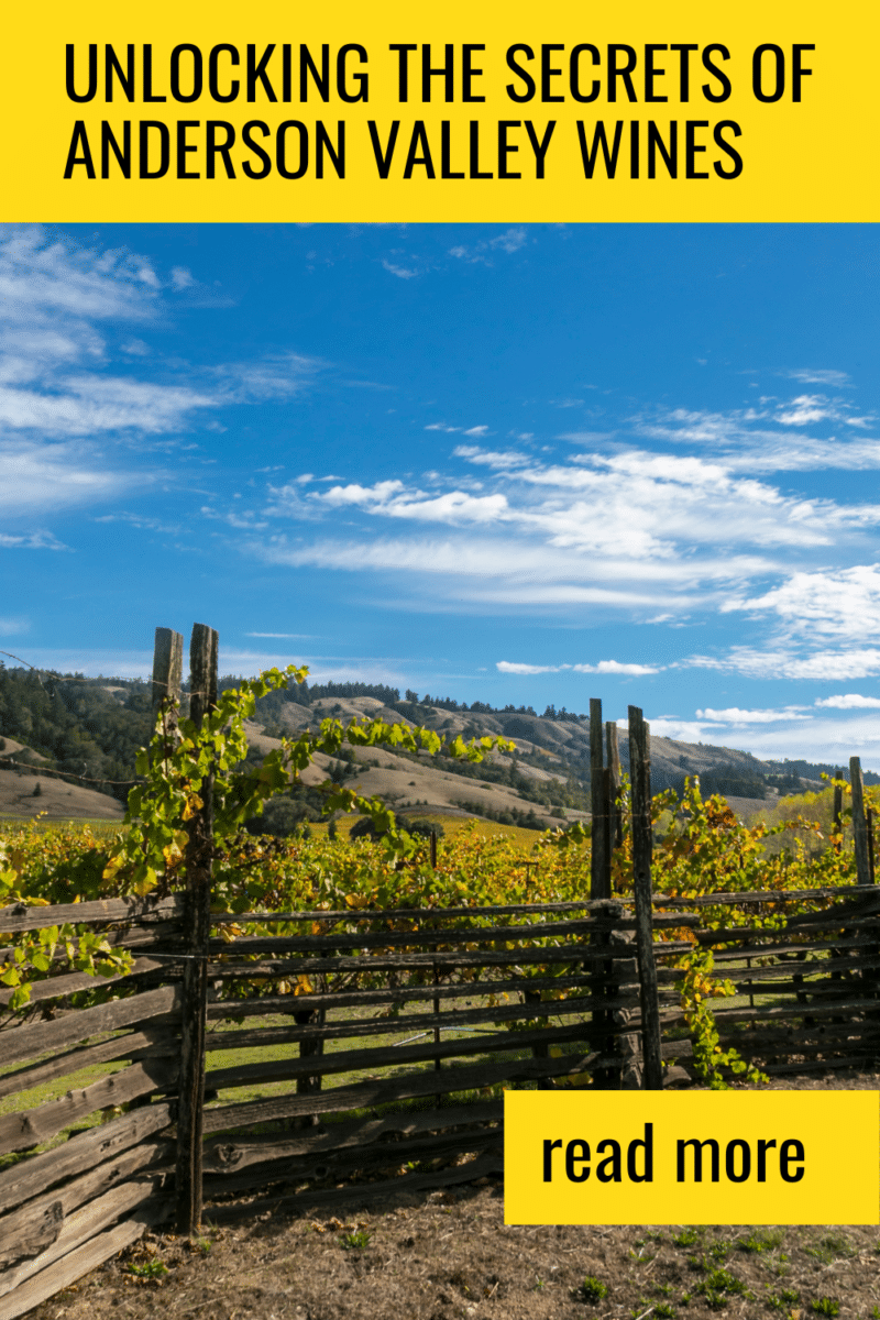 Anderson Valley, California, is an extraordinary wine region. Read on to discover what awaits in this valley known for its exceptional wines.