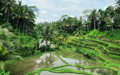The Best of Balinese Culture in Ubud