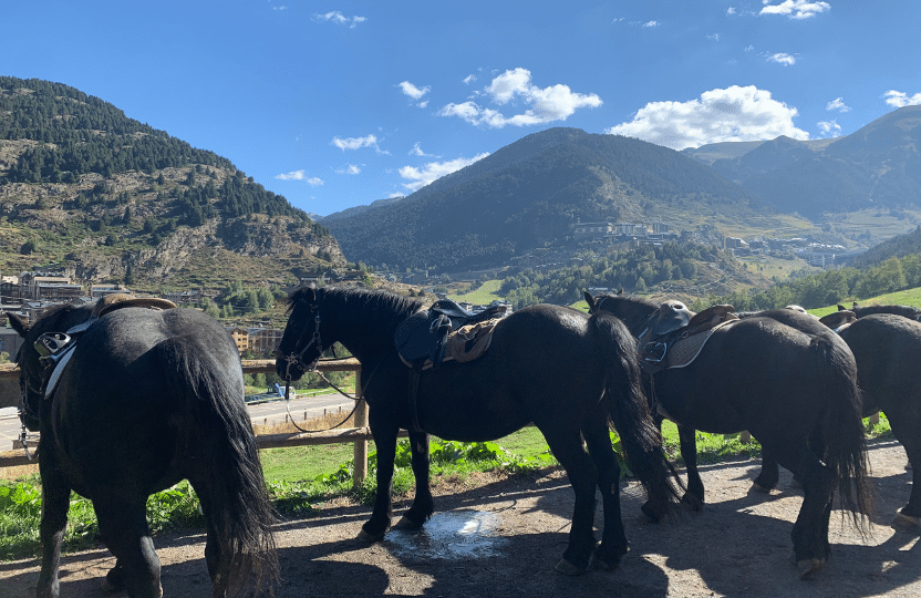 Horses in Andorra