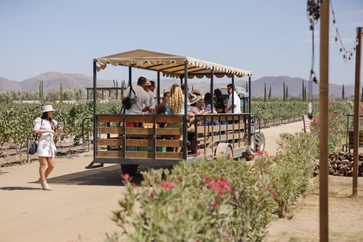 Wagon tour through the vineyards at El Cielo