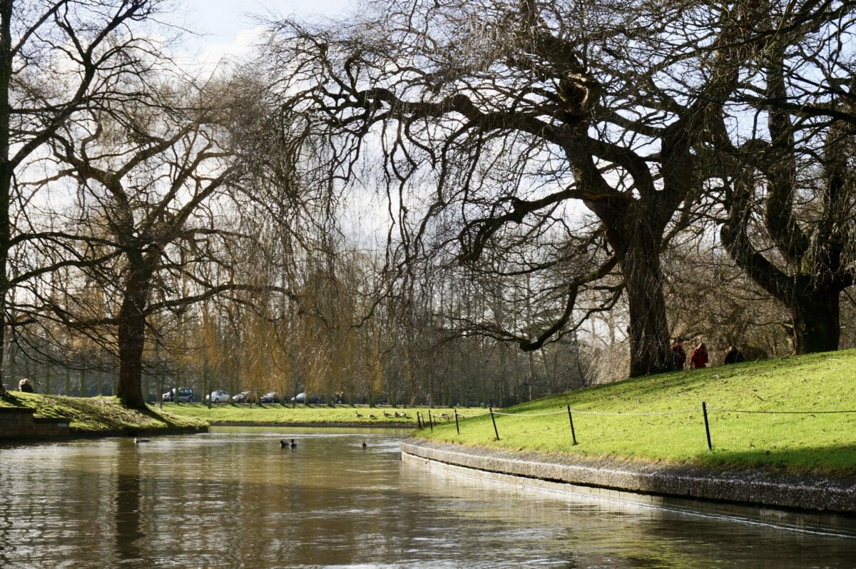 The Cam River in Cambridge