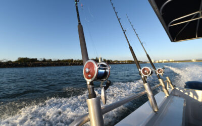 Charter Boat Fishing is the Ultimate Choice for Fishing Enthusiasts